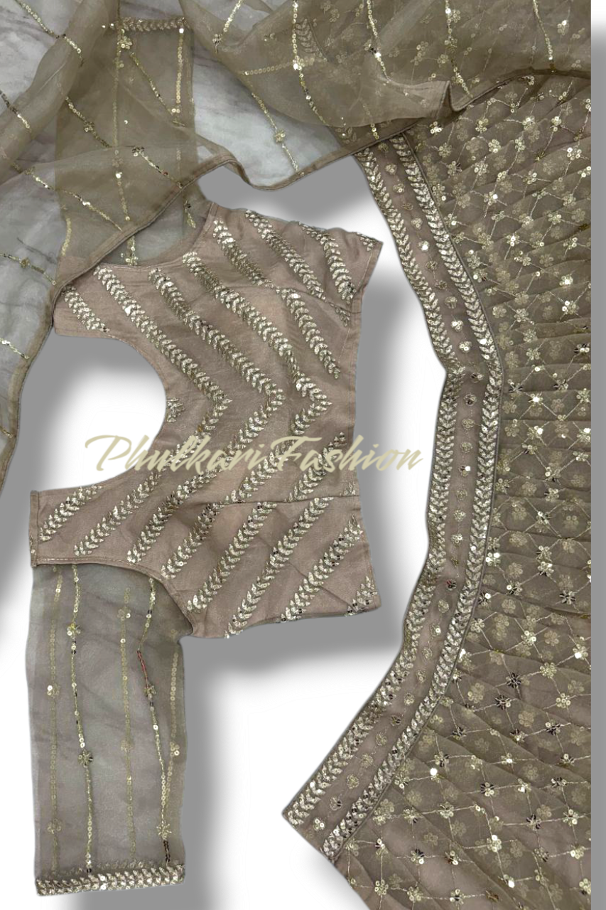 Party Wear Lehnga.