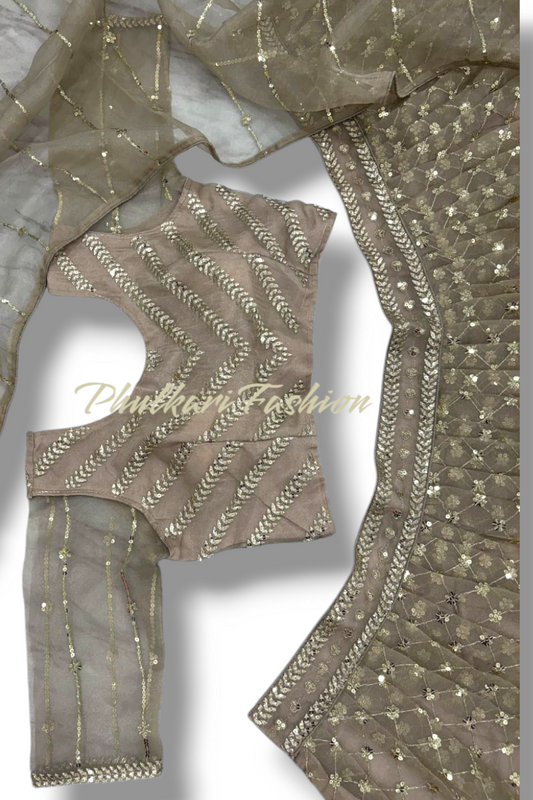 Party Wear Lehnga.