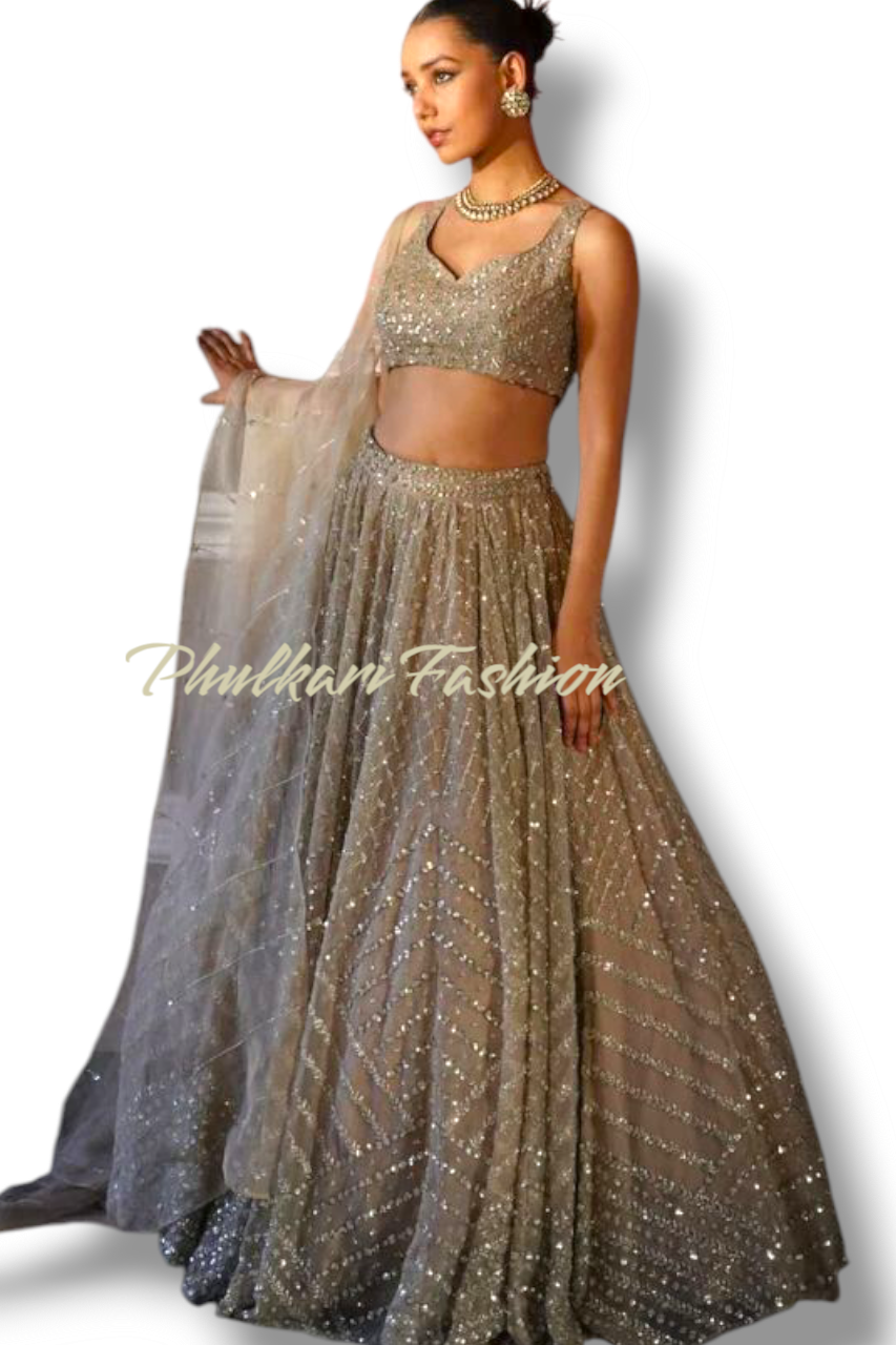 Party Wear Lehnga.