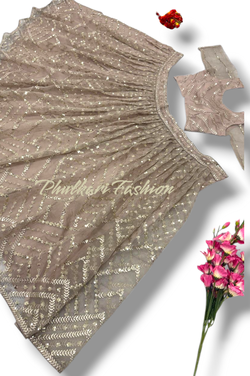 Party Wear Lehnga.