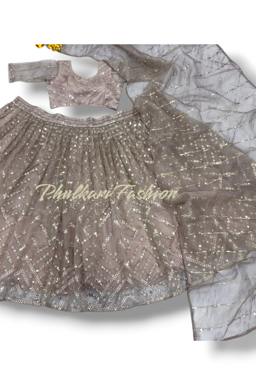 Party Wear Lehnga.