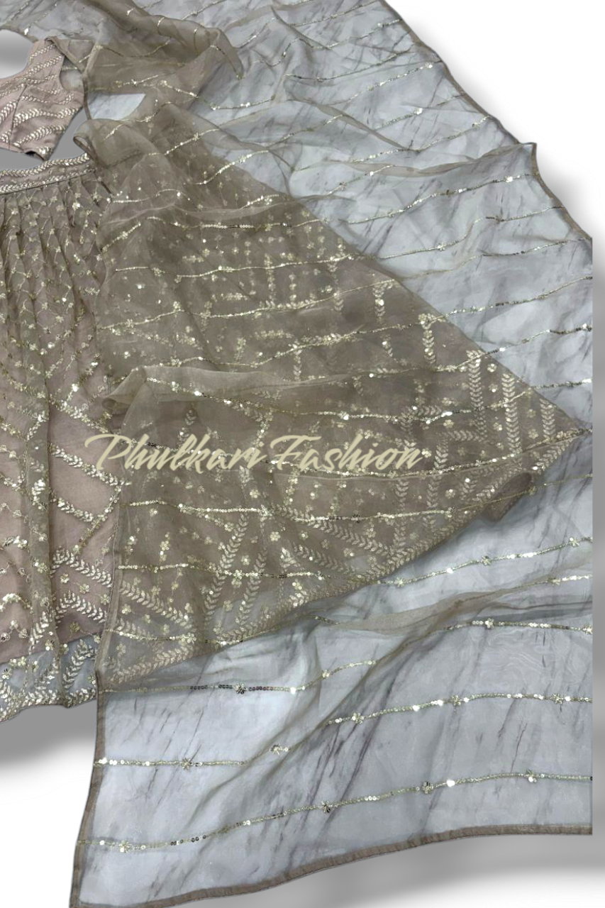 Party Wear Lehnga.