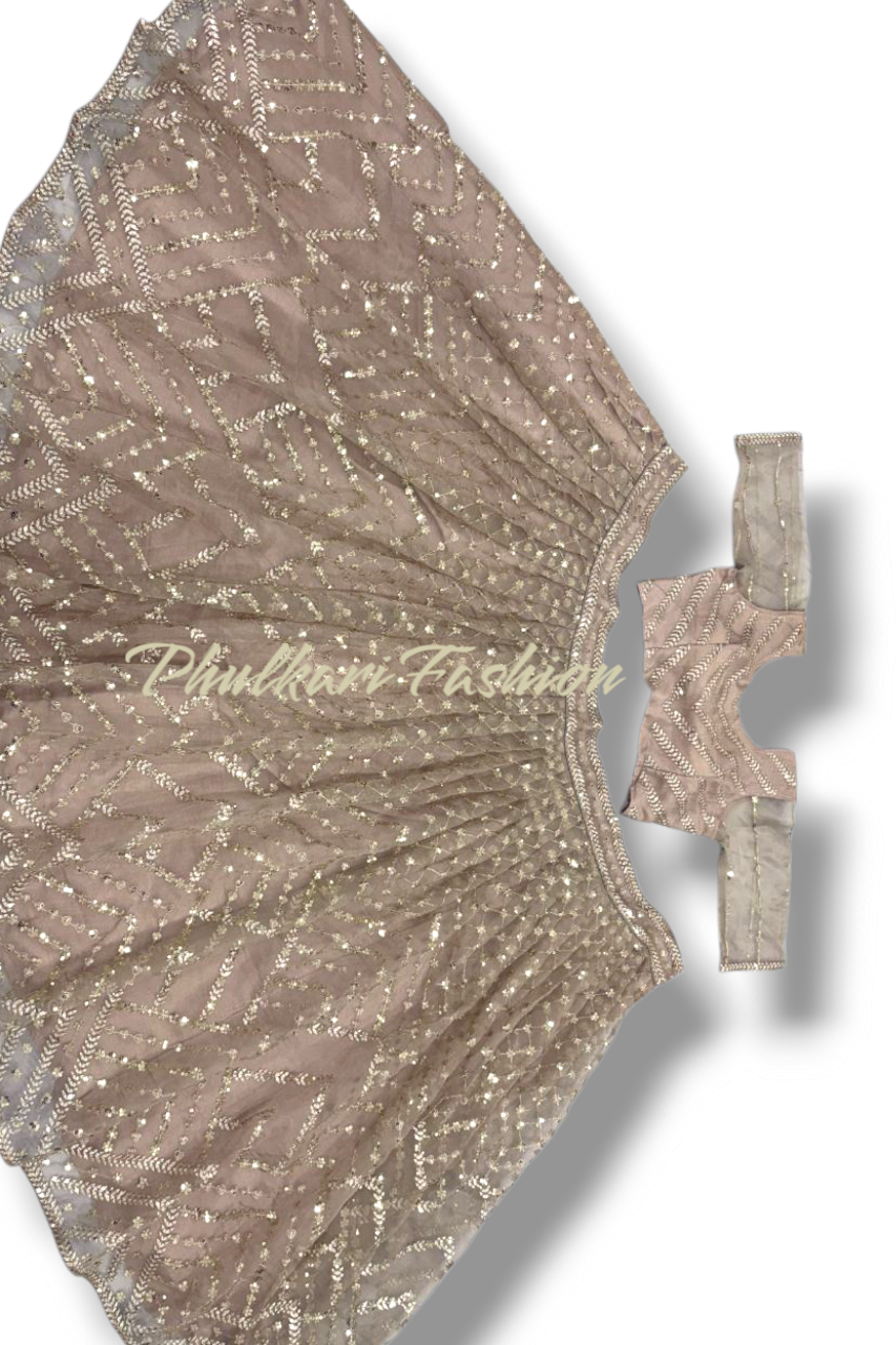 Party Wear Lehnga.