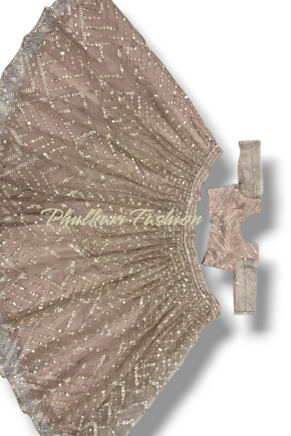 Party Wear Lehnga.