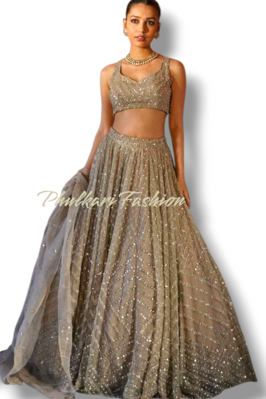 Party Wear Lehnga.