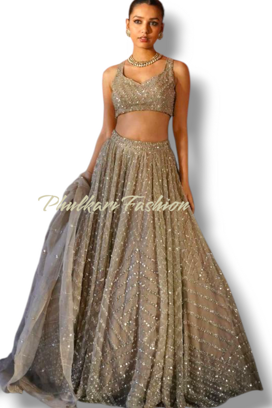 Party Wear Lehnga.